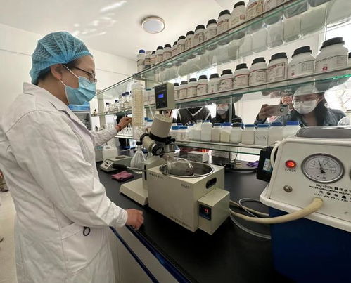 寧夏化妝品風(fēng)靡俄羅斯市場，新型汽輪機(jī)研發(fā)與銷售齊頭并進(jìn)